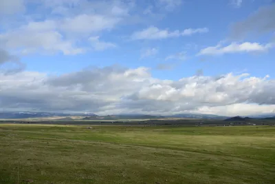 DSC_1043 (Large).JPG